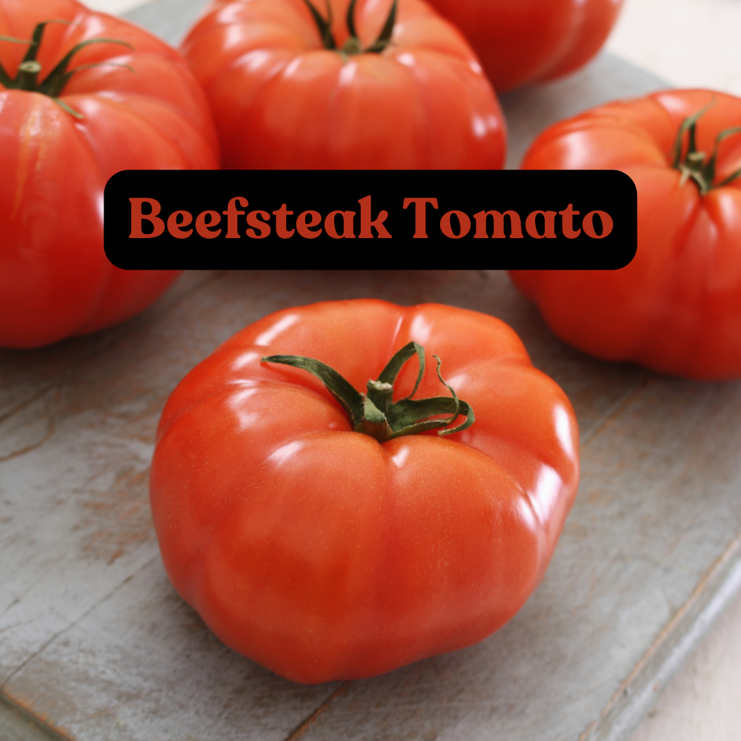 Beef Steak Tomatoes