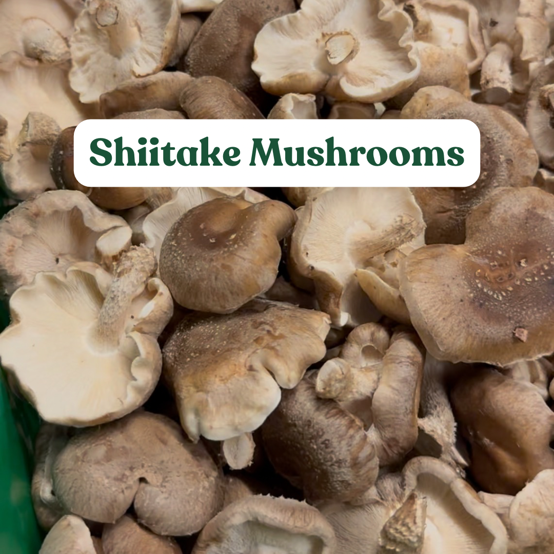 Shiitake Mushrooms