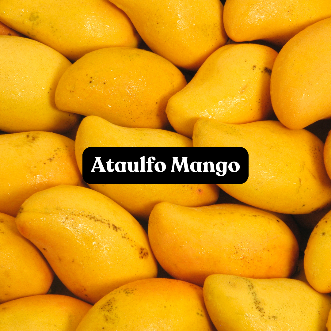 Ataulfo Mango