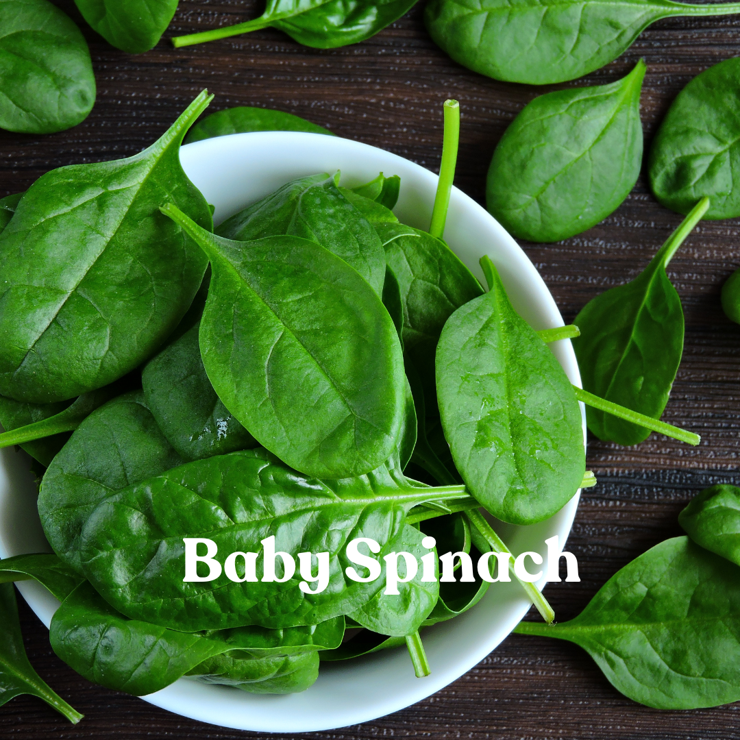 Loose Baby Spinach