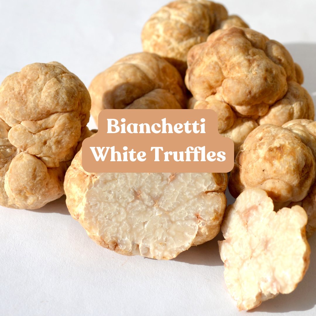 Bianchetti White Truffles