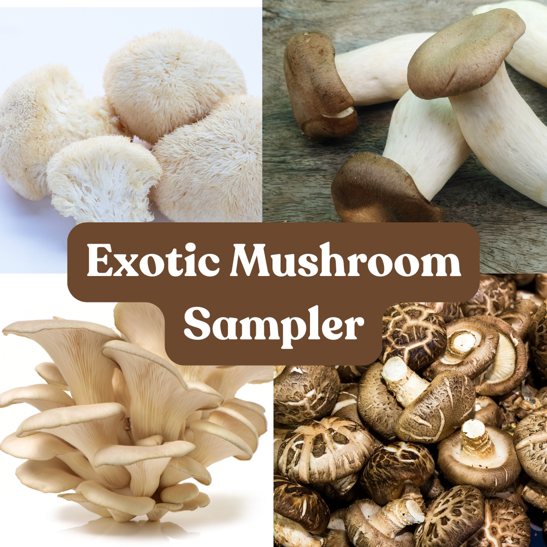 Exotic Mushroom Sampler