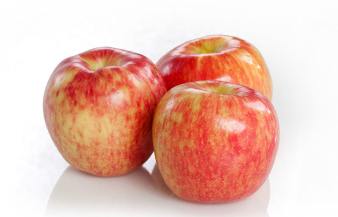 Honeycrisp Apple