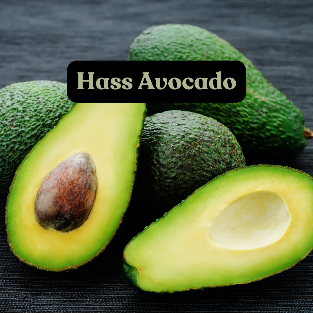 Hass Avocado