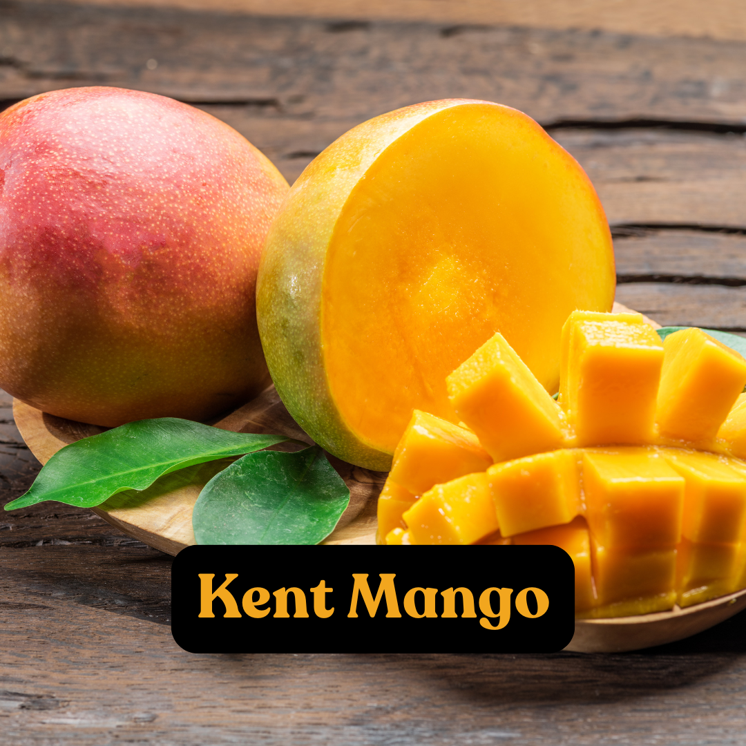 Kent Mango