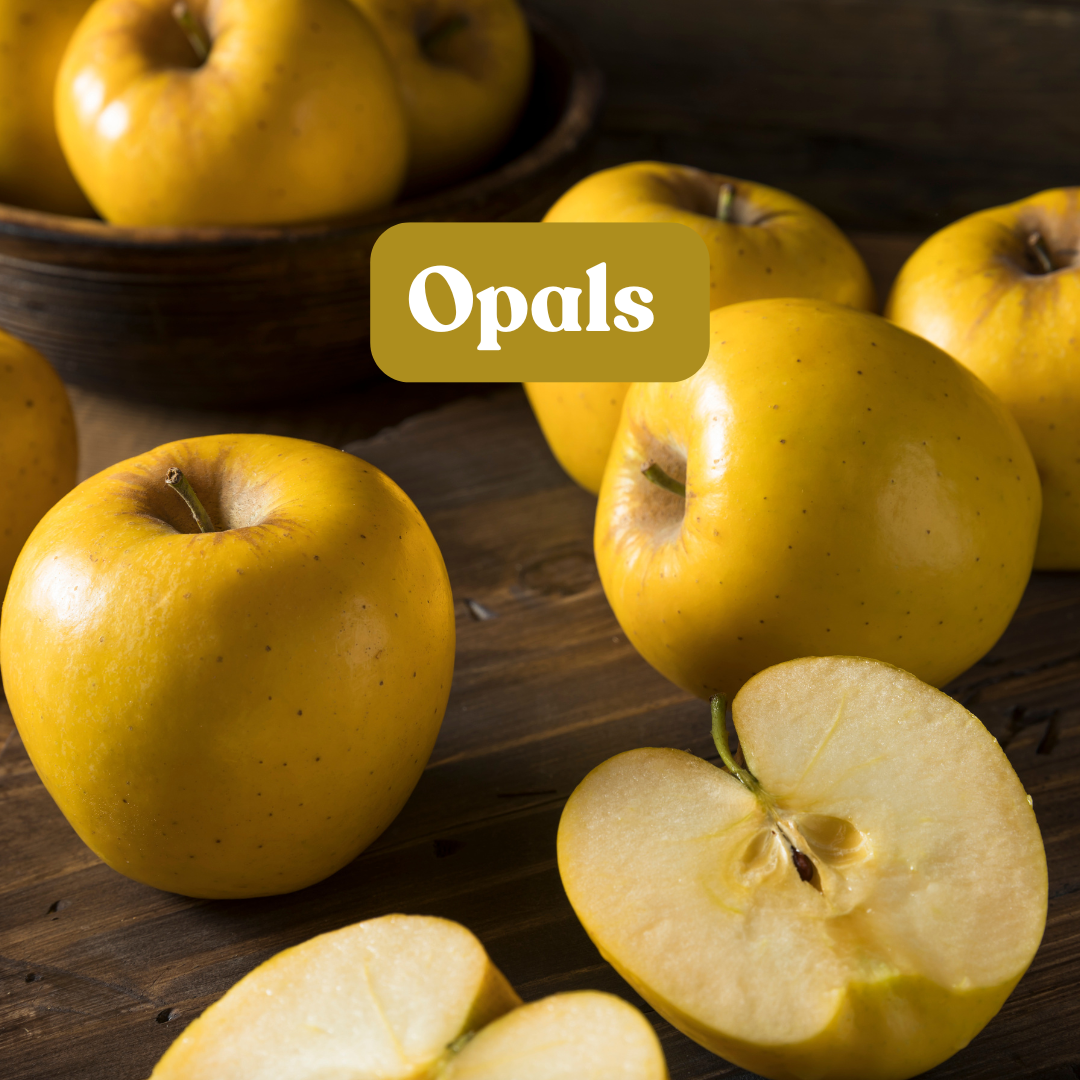 Opal Apples