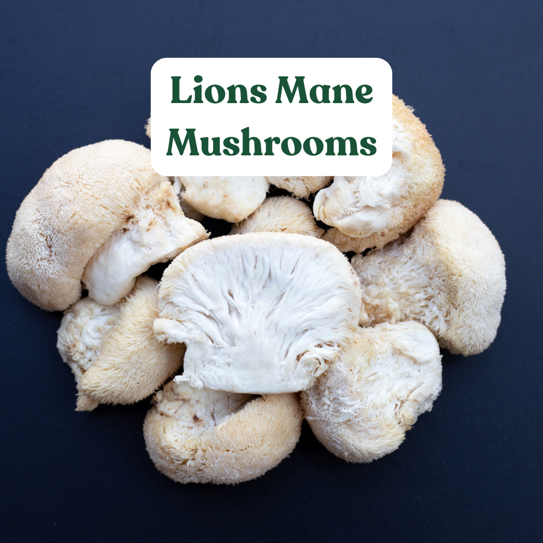 Lions Mane Mushrooms