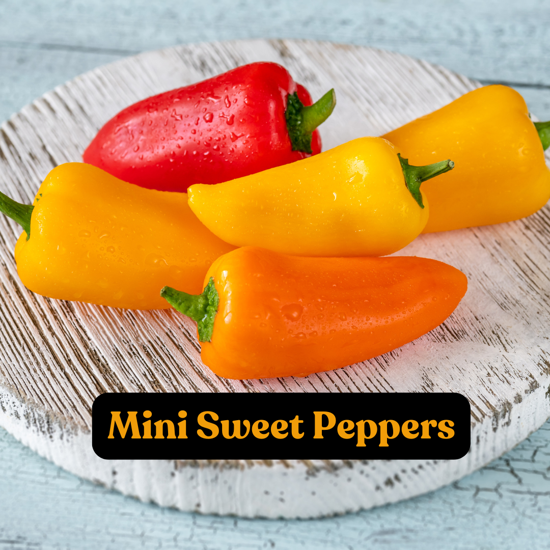 Mixed Sweet Peppers