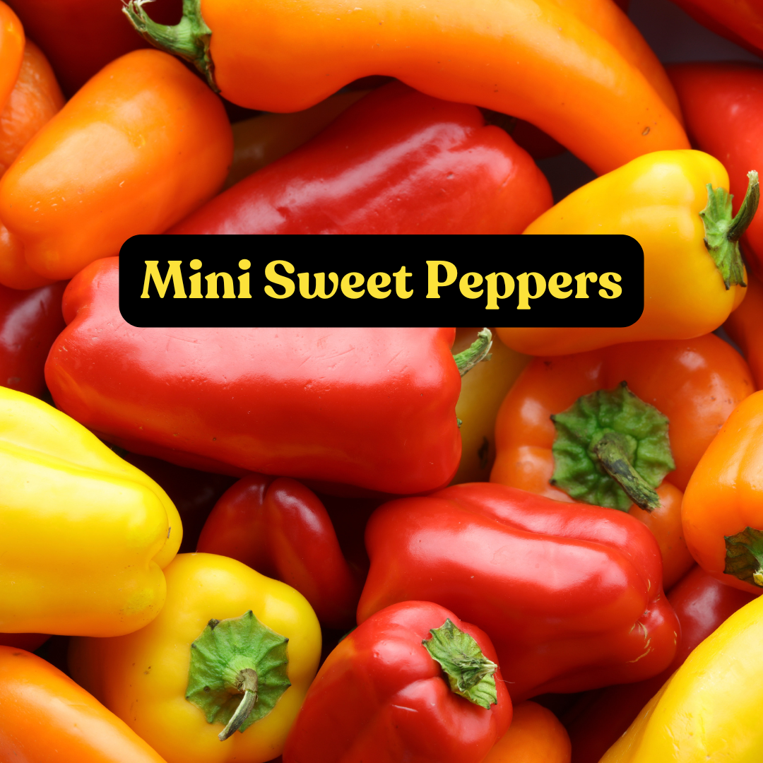 Mixed Sweet Peppers