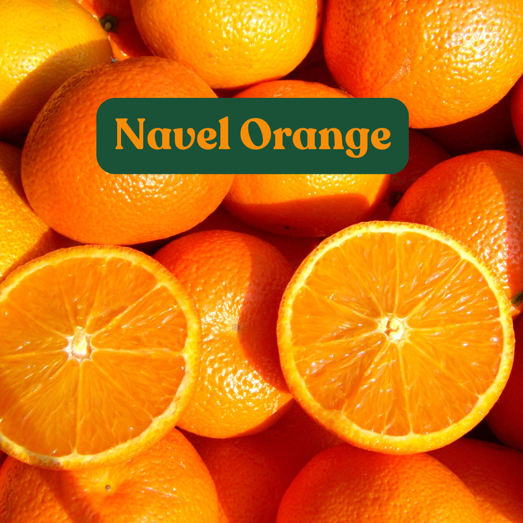 Navel Orange (1lb)