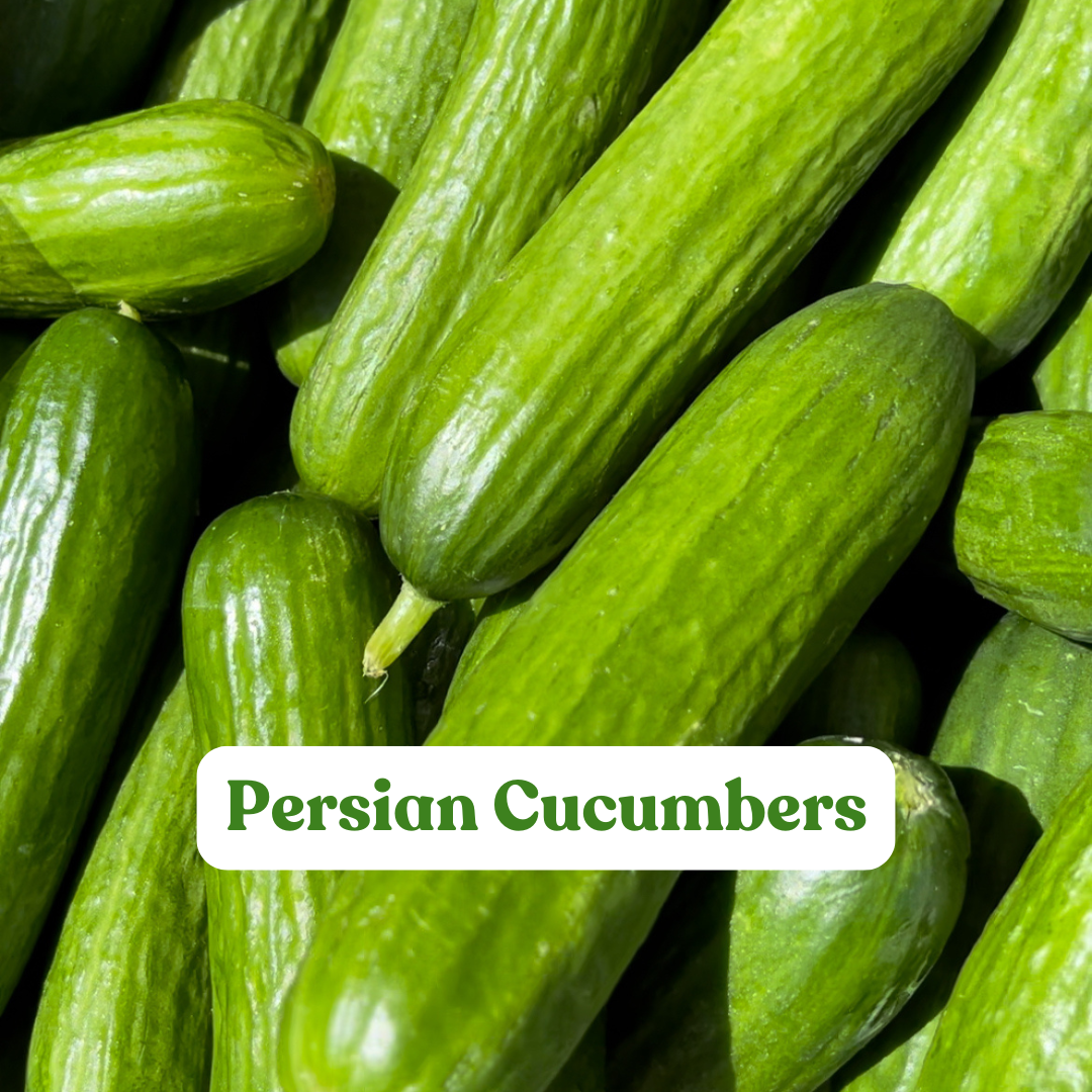 Persian Cucumber (1lb)