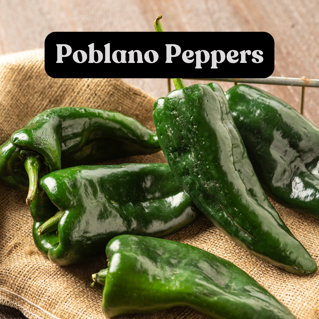 Poblano Pepper (1lb)