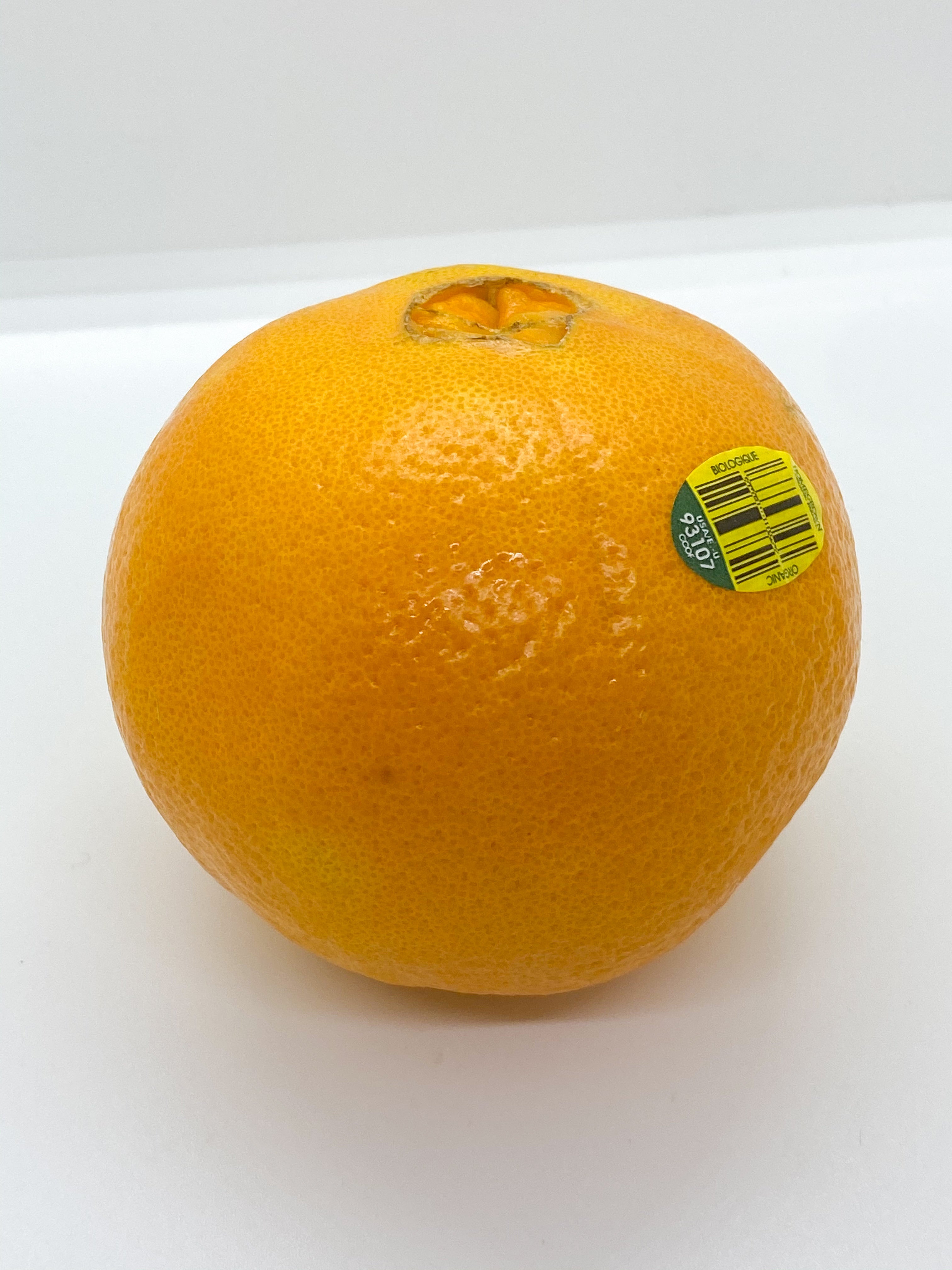 Navel Orange