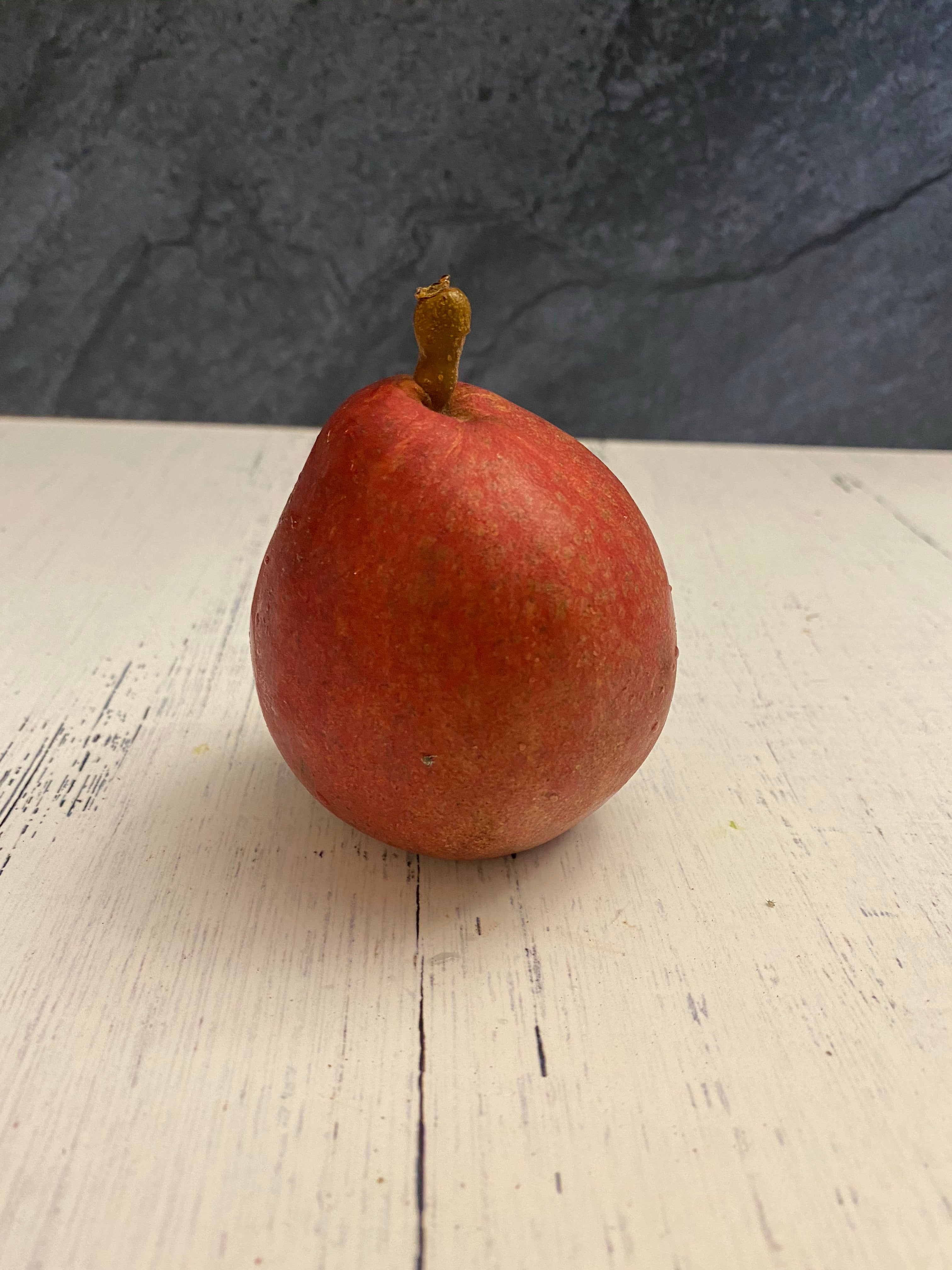 Red D'Anjou Pear